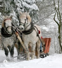 sleigh-ride-549727_640